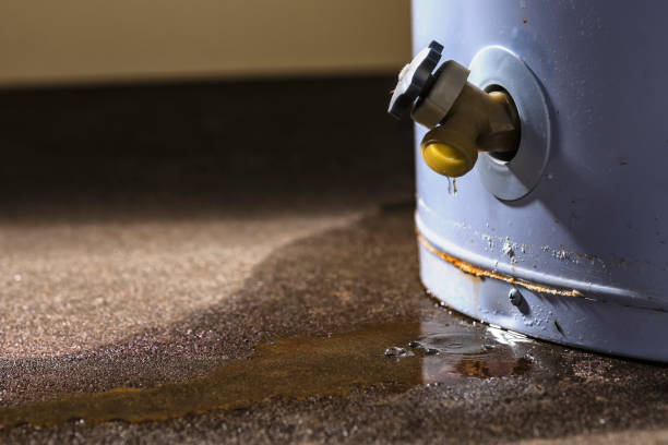 Best Water damage restoration near me  in Milmay, NJ