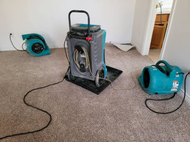 Best Flood restoration services  in Milmay, NJ