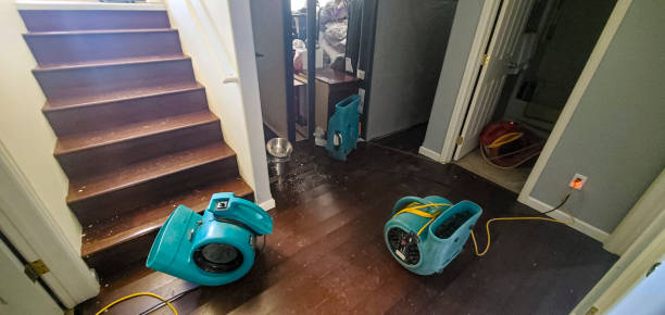 Best Water damage contractors near me  in Milmay, NJ