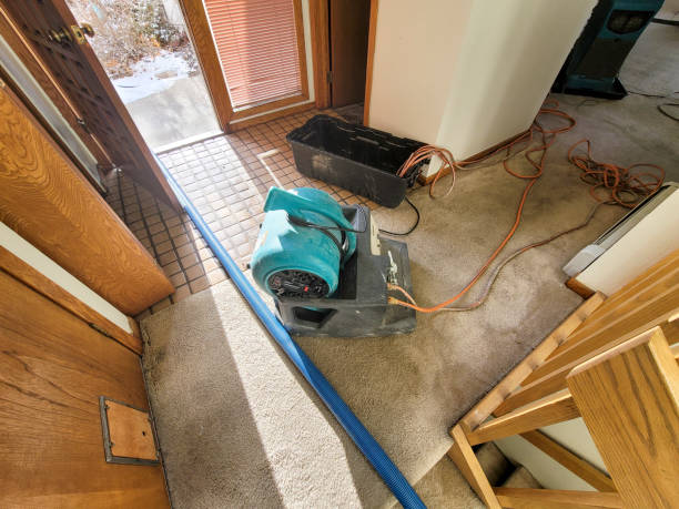 Best 24-hour water damage restoration  in Milmay, NJ
