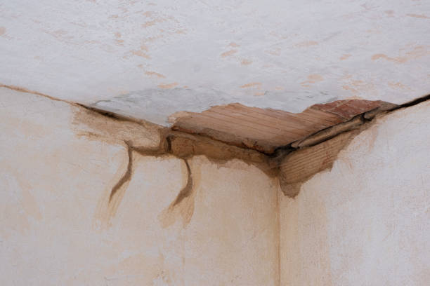 Water damage restoration mold remediation in Milmay, NJ