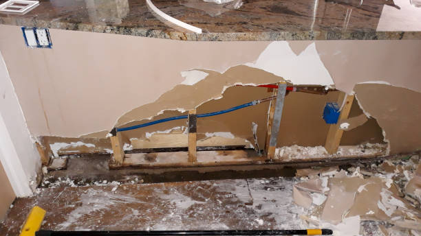 Best Ceiling water damage repair  in Milmay, NJ