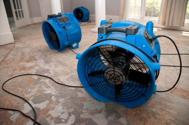 Best Flood damage cleanup  in Milmay, NJ