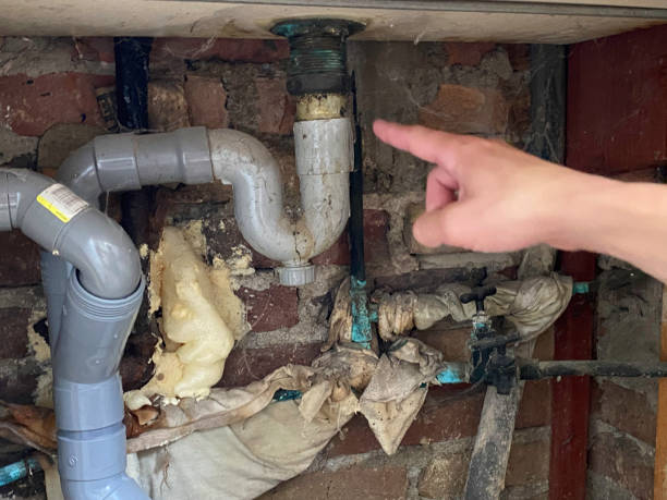 Best Professional water damage repair  in Milmay, NJ