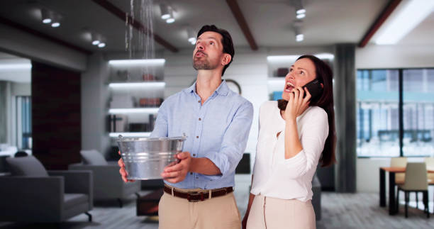 Best 24/7 water damage repair  in Milmay, NJ