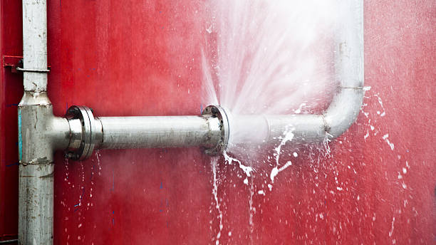 Best Commercial water damage restoration  in Milmay, NJ